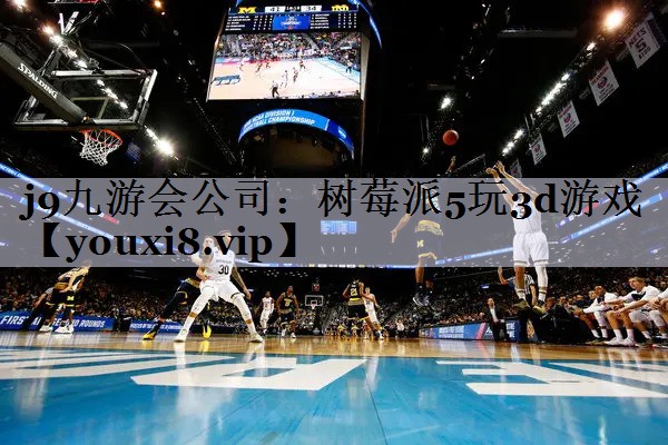 j9九游会公司：树莓派5玩3d游戏