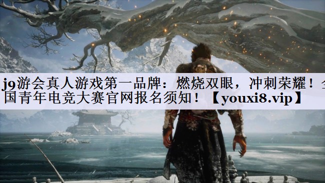 燃烧双眼，冲刺荣耀！全国青年电竞大赛官网报名须知！